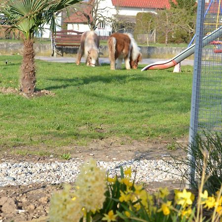 Hotel - Restaurant Hirschen - Werneths Landgasthof Beim Europa- Park Rust Rheinhausen Exteriör bild